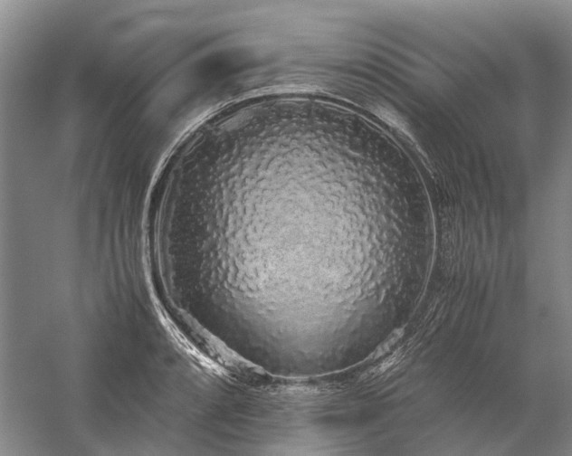 X0000060261088200510281159