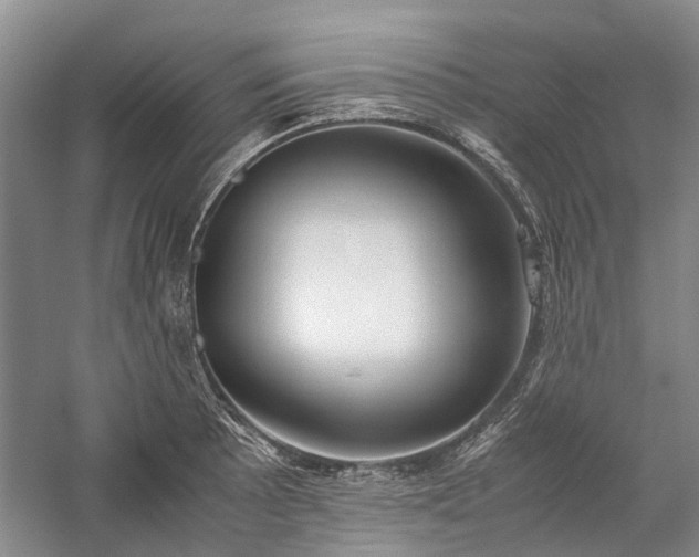 X0000060261089200510281159