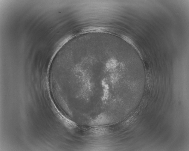 X0000060261090200510281159