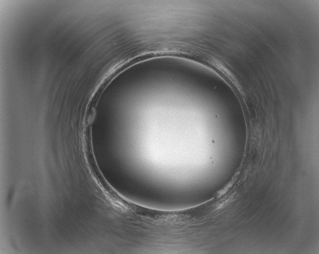 X0000060261093200510281159