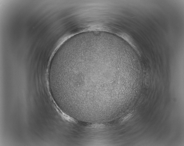 X0000060261094200510281159