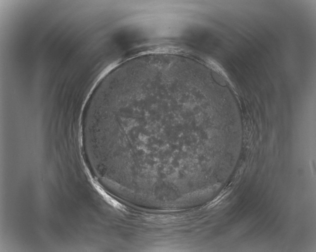 X0000060261095200510281159