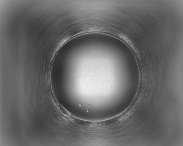 X0000060261097200510281159