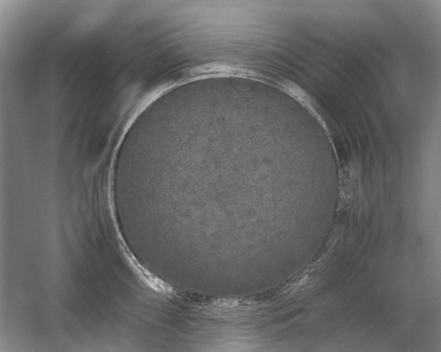 X0000060261098200510281159