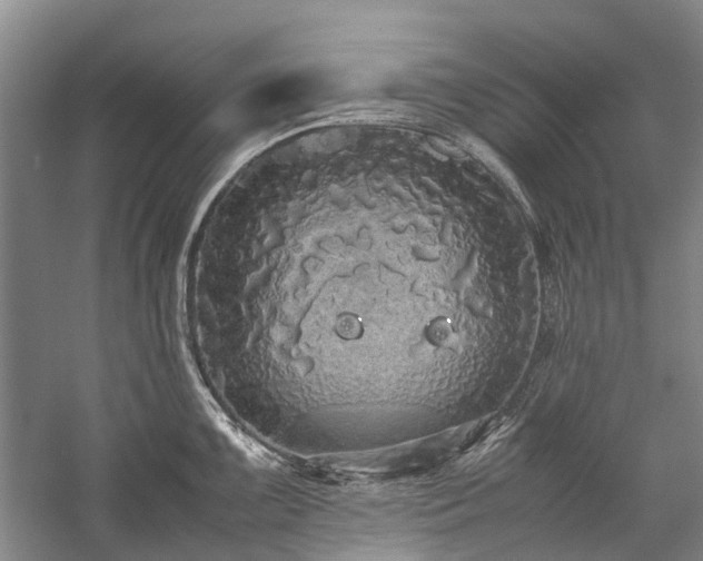 X0000060261099200510281159