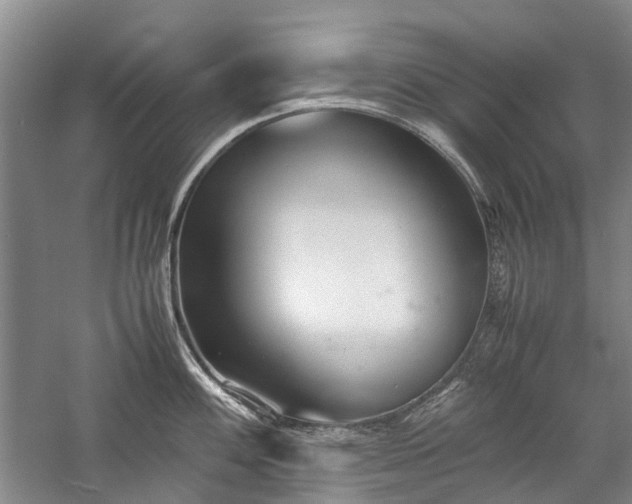 X0000060261100200510281159