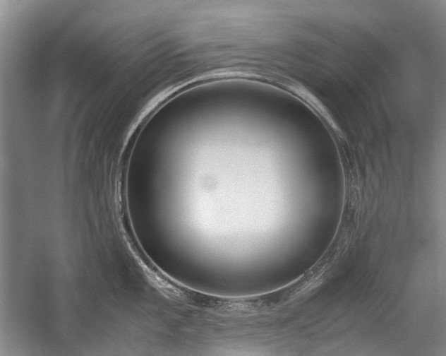 X0000060261101200510281159