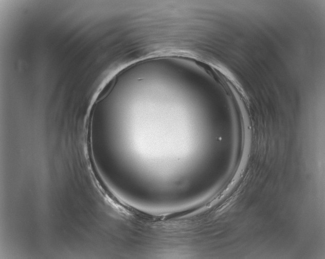 X0000060261102200510281159