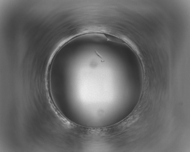 X0000060261104200510281159