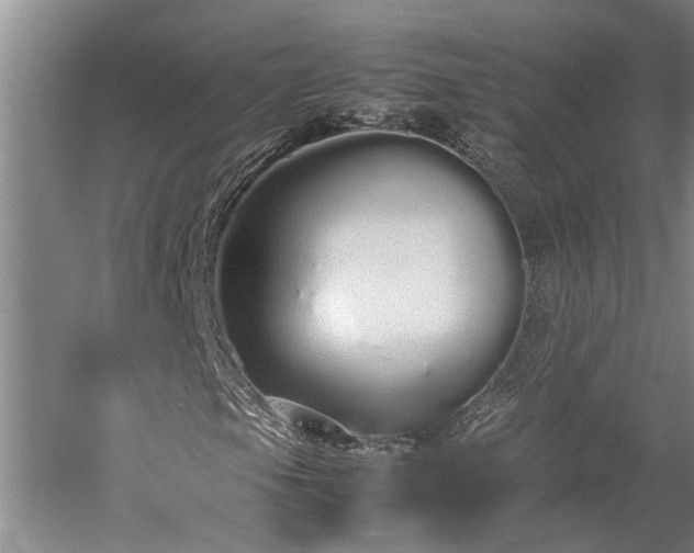 X0000060261105200510281158