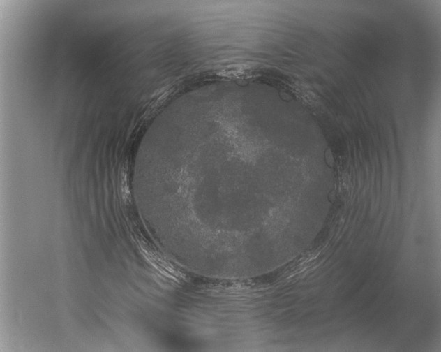 X0000060261106200510281158