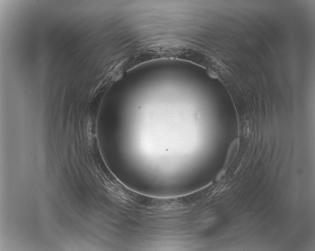 X0000060261108200510281158