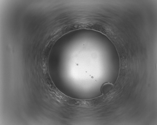 X0000060261109200510281158