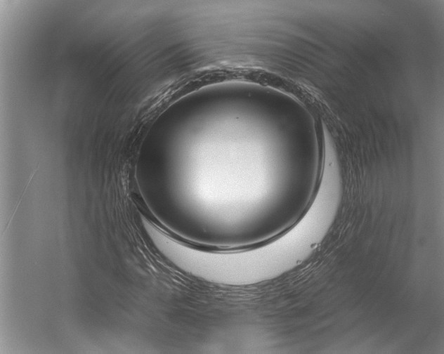 X0000060261110200510281158