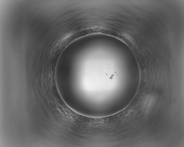 X0000060261111200510281158