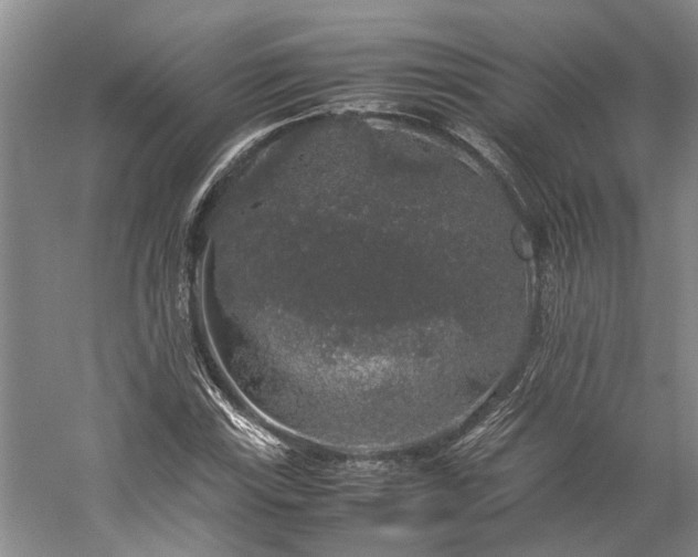 X0000060261115200510281158