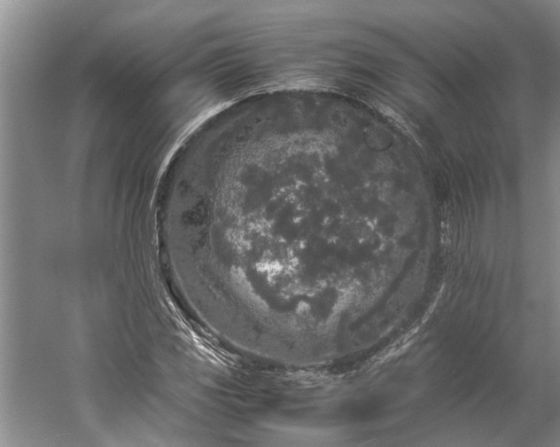 X0000060261117200510281158