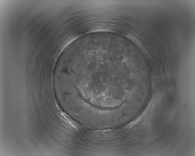 X0000060261121200510281158