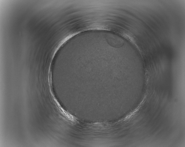 X0000060261125200510281158