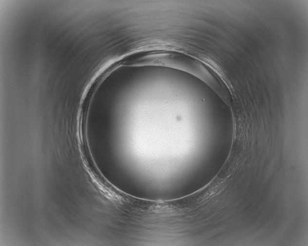 X0000060261128200510281158