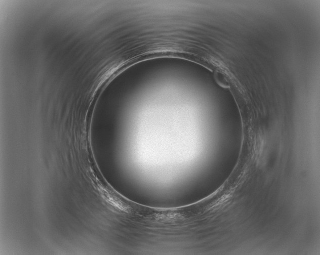 X0000060261129200510281158