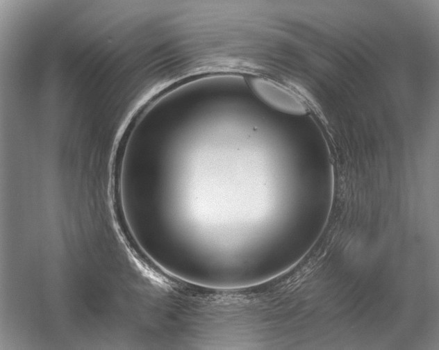 X0000060261136200510281158