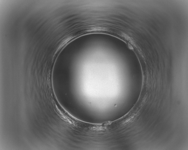 X0000060261137200510281158