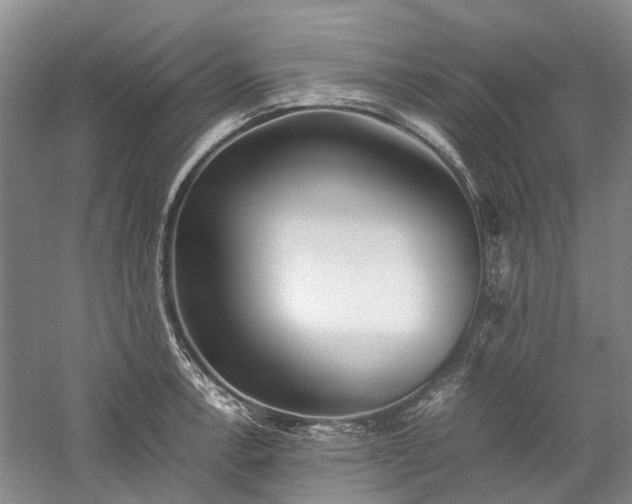 X0000060261138200510281158