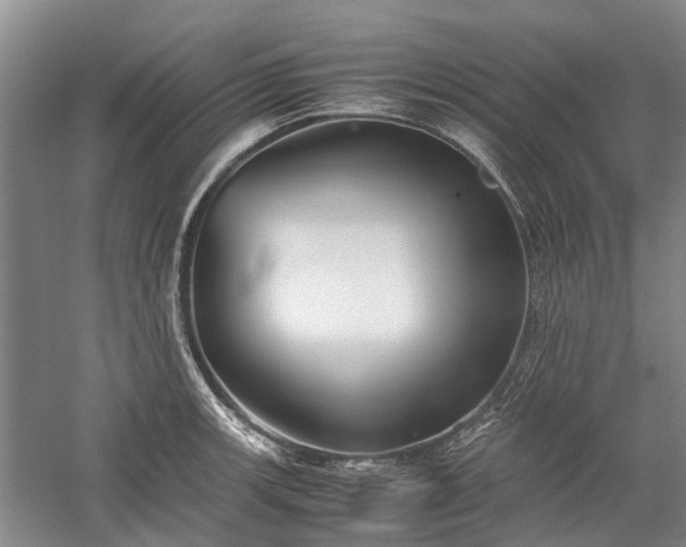 X0000060261139200510281159