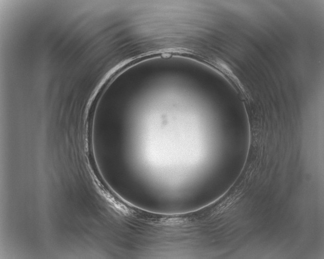 X0000060261140200510281159