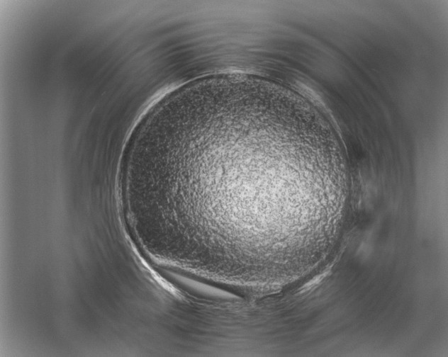 X0000060261141200510281159