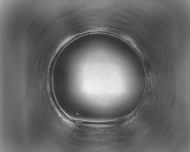 X0000060261143200510281159