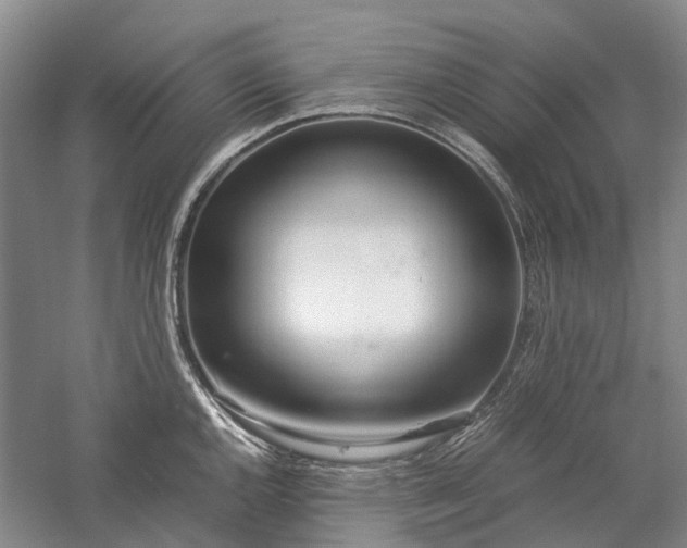 X0000060261144200510281159