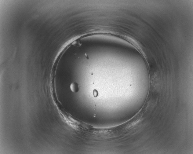 X0000060261149200510281159