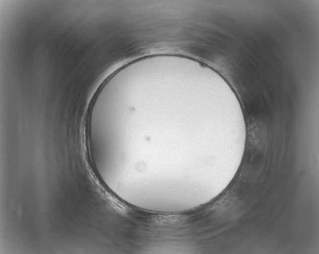 X0000060261150200510281159