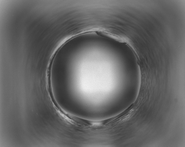 X0000060261151200510281159