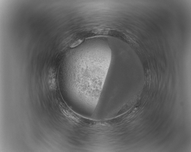 X0000060261154200510281158