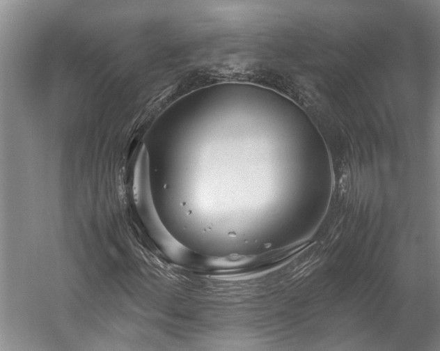 X0000060261156200510281158