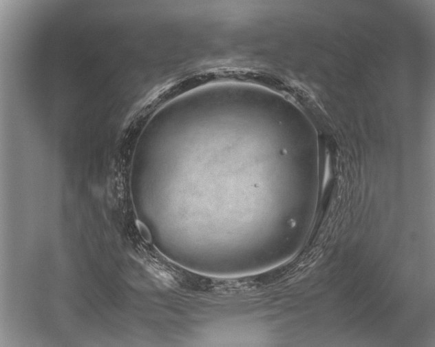 X0000060261159200510281158