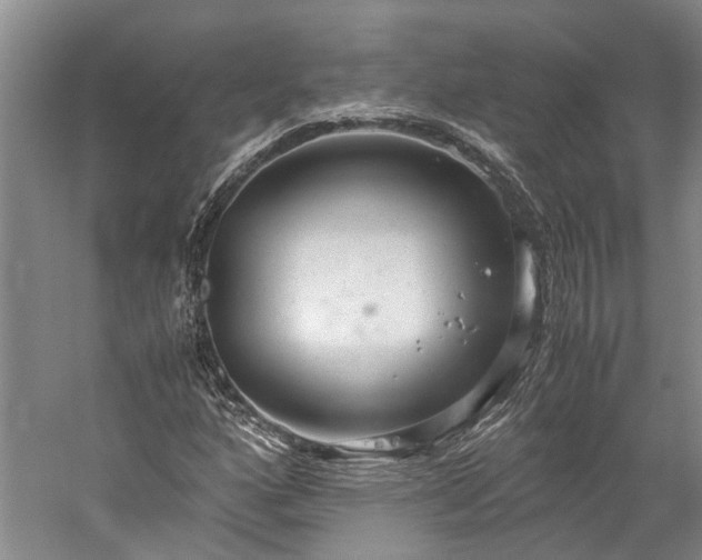 X0000060261160200510281158