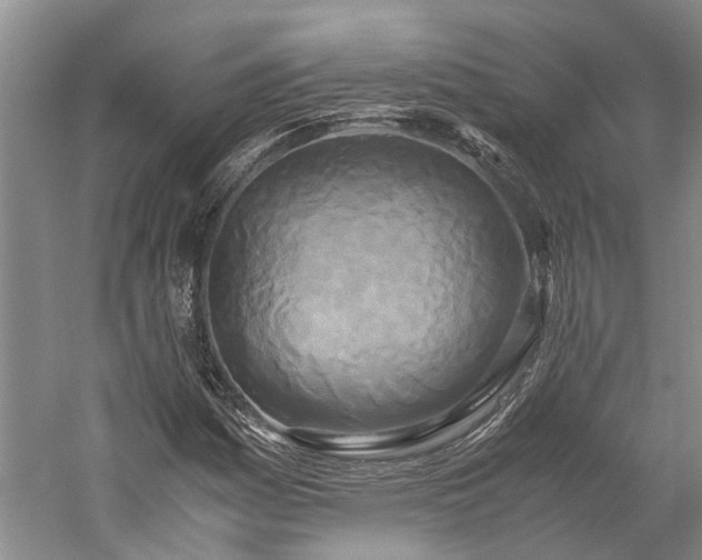 X0000060261161200510281158