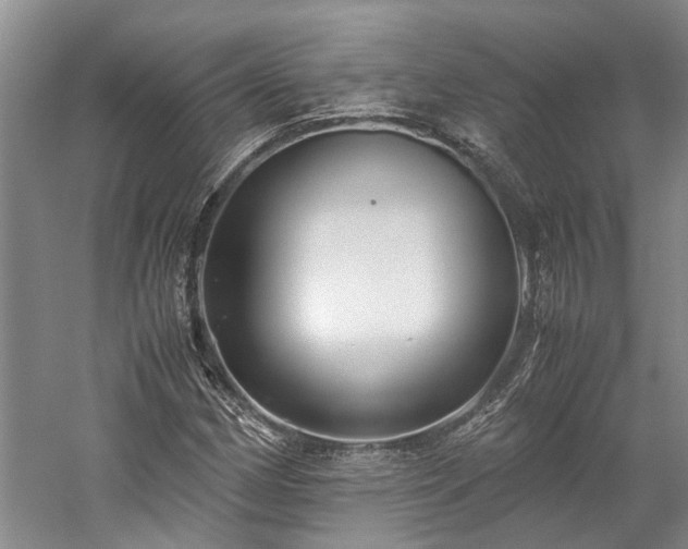 X0000060261162200510281158