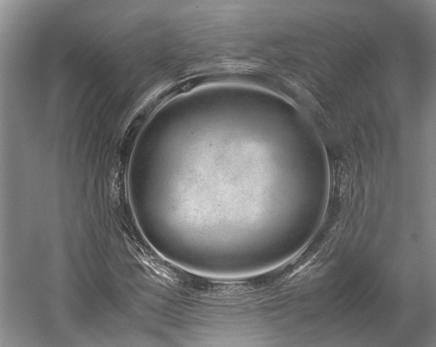 X0000060261163200510281158