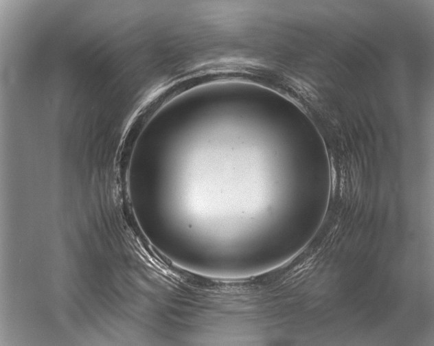 X0000060261164200510281158