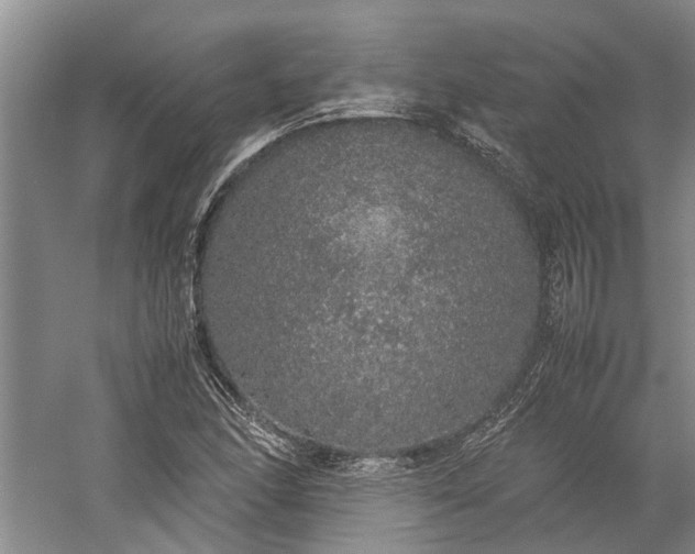 X0000060261166200510281158