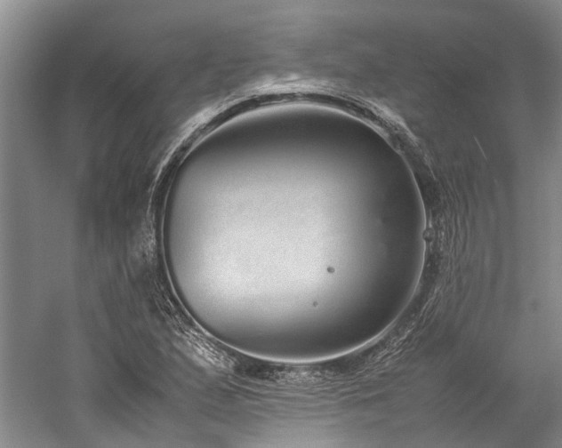 X0000060261167200510281158