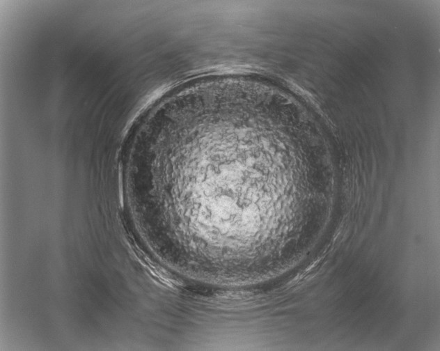 X0000060261171200510281158