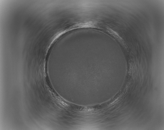 X0000060261174200510281158