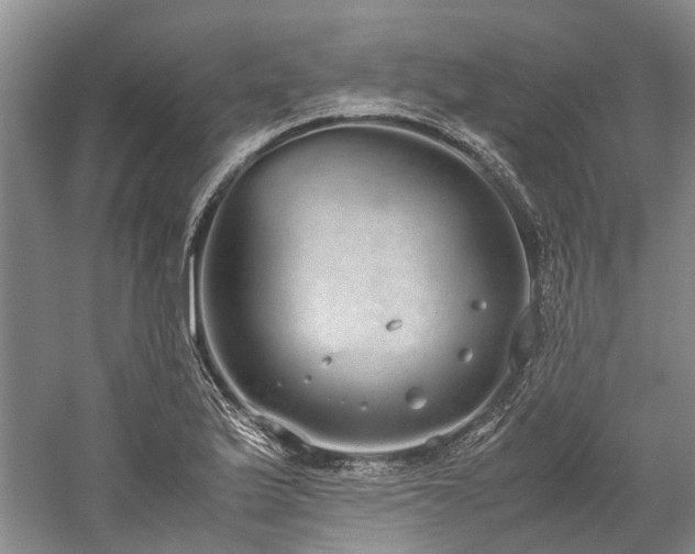 X0000060261175200510281158