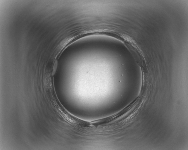 X0000060261177200510281158